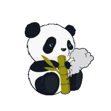 小熊猫辅助器v1 官方正版