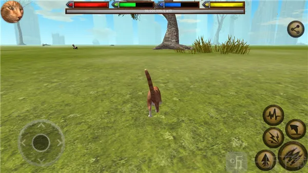 终极猫模拟器2026官方正版 终极猫模拟器2026官方正版