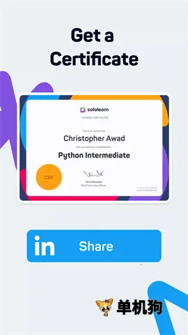 SoloLearn2026�ٷ�����