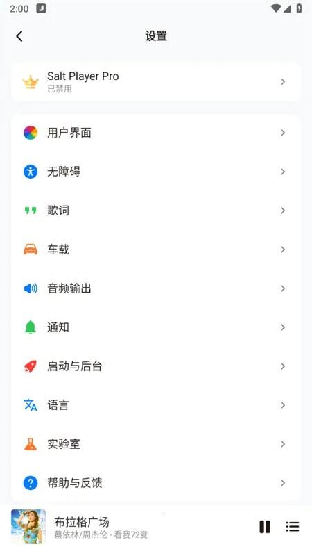 Salt Player(音乐播放软件)v11.0.4 官方正版