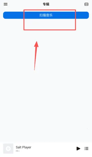 Salt Player(音乐播放软件) Salt Player(音乐播放软件)