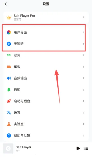 Salt Player(音乐播放软件) Salt Player(音乐播放软件)