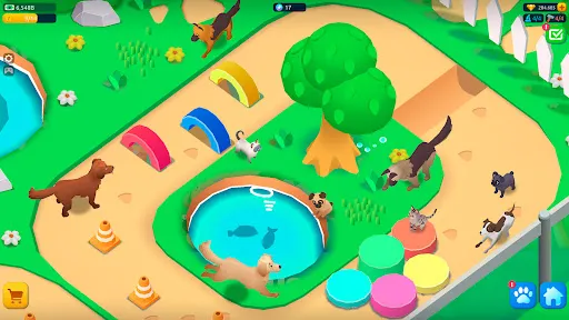 宠物拯救大亨2026官方最新版本 宠物拯救大亨2026官方最新版本