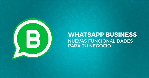 whatsapp2026最新版本 whatsapp2026最新版本
