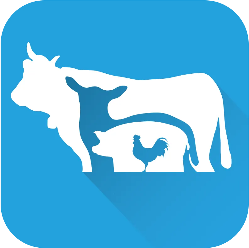 ��ֳ��2026�ٷ�����v1.0.3 �ֻ���