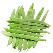 小菜豆2026最新版本v4.1 安卓版