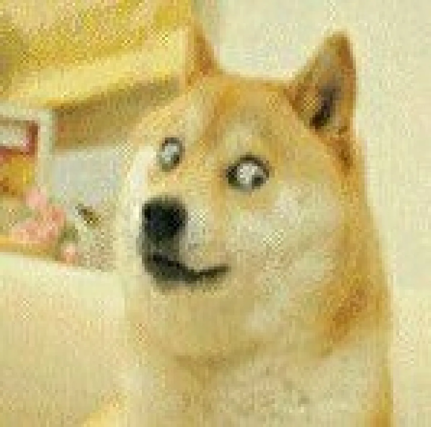 ������������׿���ֻ���v20260128 ��Ѱ�