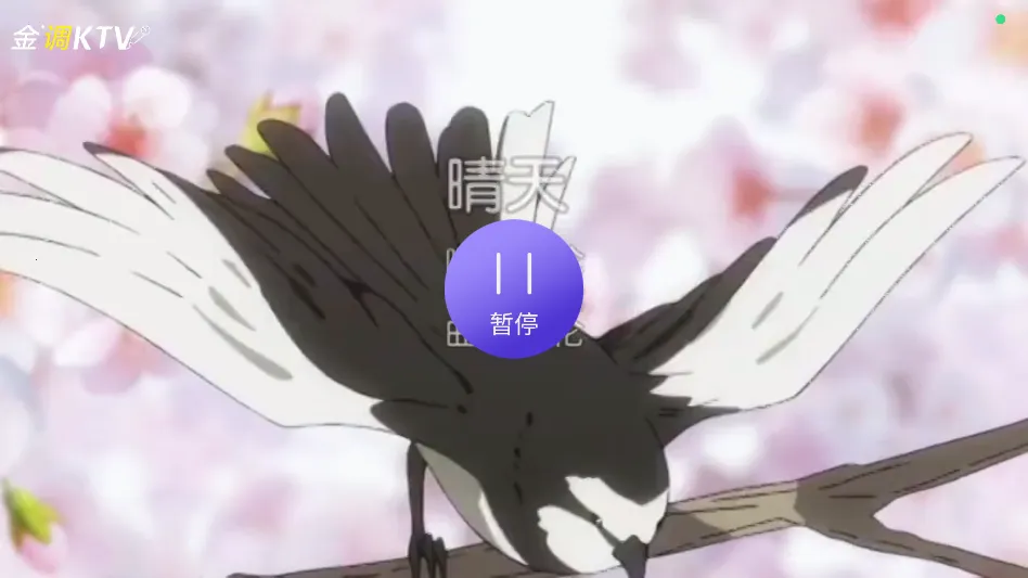 金调ktv官方正版下载安装 金调ktv官方正版下载安装