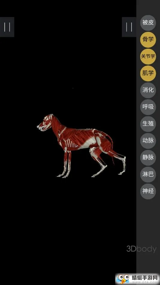 3dbody宠物破解版v8.8.72 安卓版