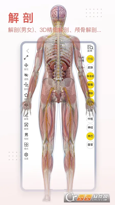 3dbody宠物破解版v8.8.72 安卓版
