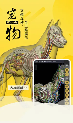 3dbody宠物破解版v8.8.72 安卓版