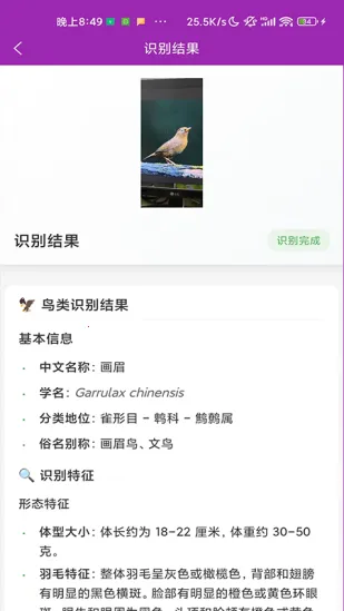 识鸟(鸟类识别工具)v1.1.0 免费版