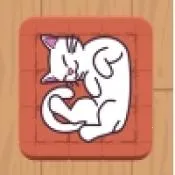 ���׶�(è�������Ϸ)v1.0.0 �ֻ���