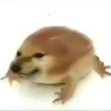 �ҵĵ������ư�(���ܹ���)v1.0 �ֻ���