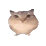 �ͰͲ�һ(�ͰͲ�һƽ̨)v1.0 �ֻ���