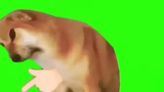 八嘎呀路(辱华词汇)v1.0 安卓版