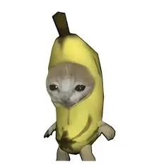 比比拉布(比比拉布平台)v1.0 手机版