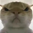 �������ж����󹤾�(�������ж�����)v1.0 ��Ѱ�