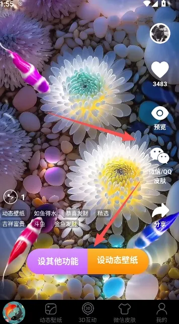 锦鲤金鱼壁纸安卓版手机版