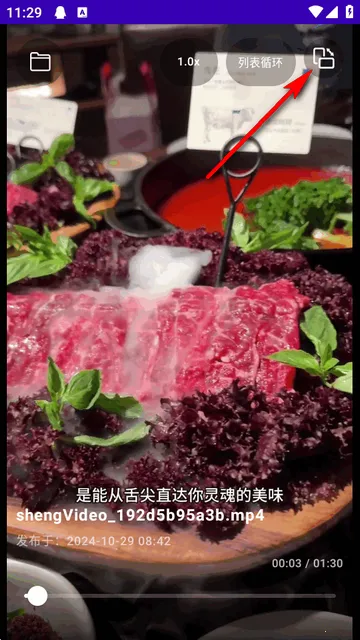 TikAlbum文件夹播放器