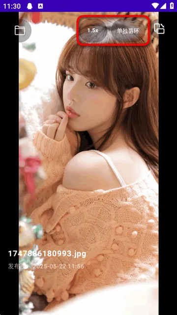 TikAlbum文件夹播放器