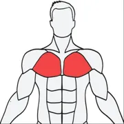 Muscle Wiki最新手机版v3.0.9 安卓版