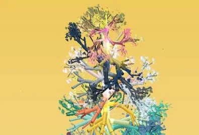 旋转之树安卓版手机版