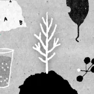 她的树2026官方正版v1.51 免费版