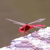 �����ѵ��Ӻ���2026�ٷ����°汾v1.0 ��Ѱ�