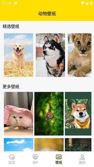 兔子表情包2026官方最新版本