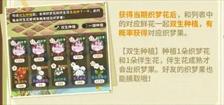 ֯��ɭ��(�����罻��Ӫ��Ϸ)