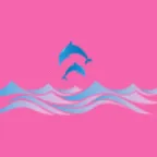 玩动相册(智能相册管理)v1.0.0 手机版