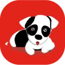 旺财看家(多功能手机应用)v12.81 官方正版