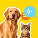 萌宠猫狗免费翻译2026官方正版v1.0.2 免费版