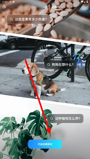 阶跃AI2026官方正版