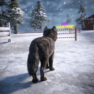 ��ģ���� 3D2026�ٷ�����v1.0.6 �ֻ���