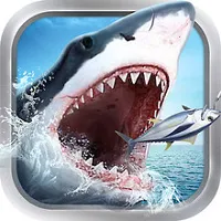 ���������(��������淨����)v99.1 �ٷ�����