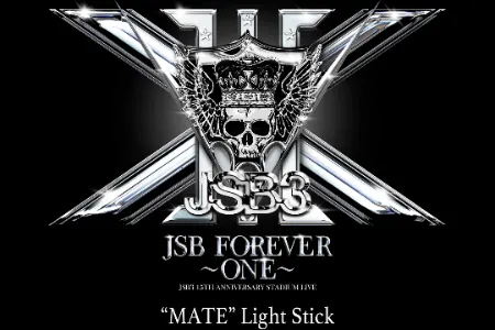 MATE Light StickӦԮ��2026�ٷ�����