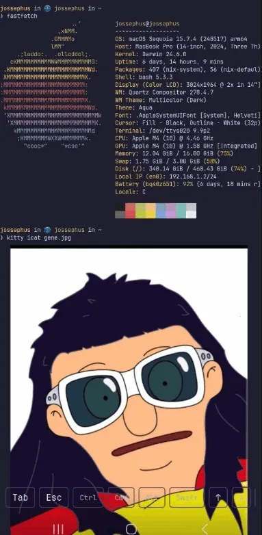 chuchu2026官方正版