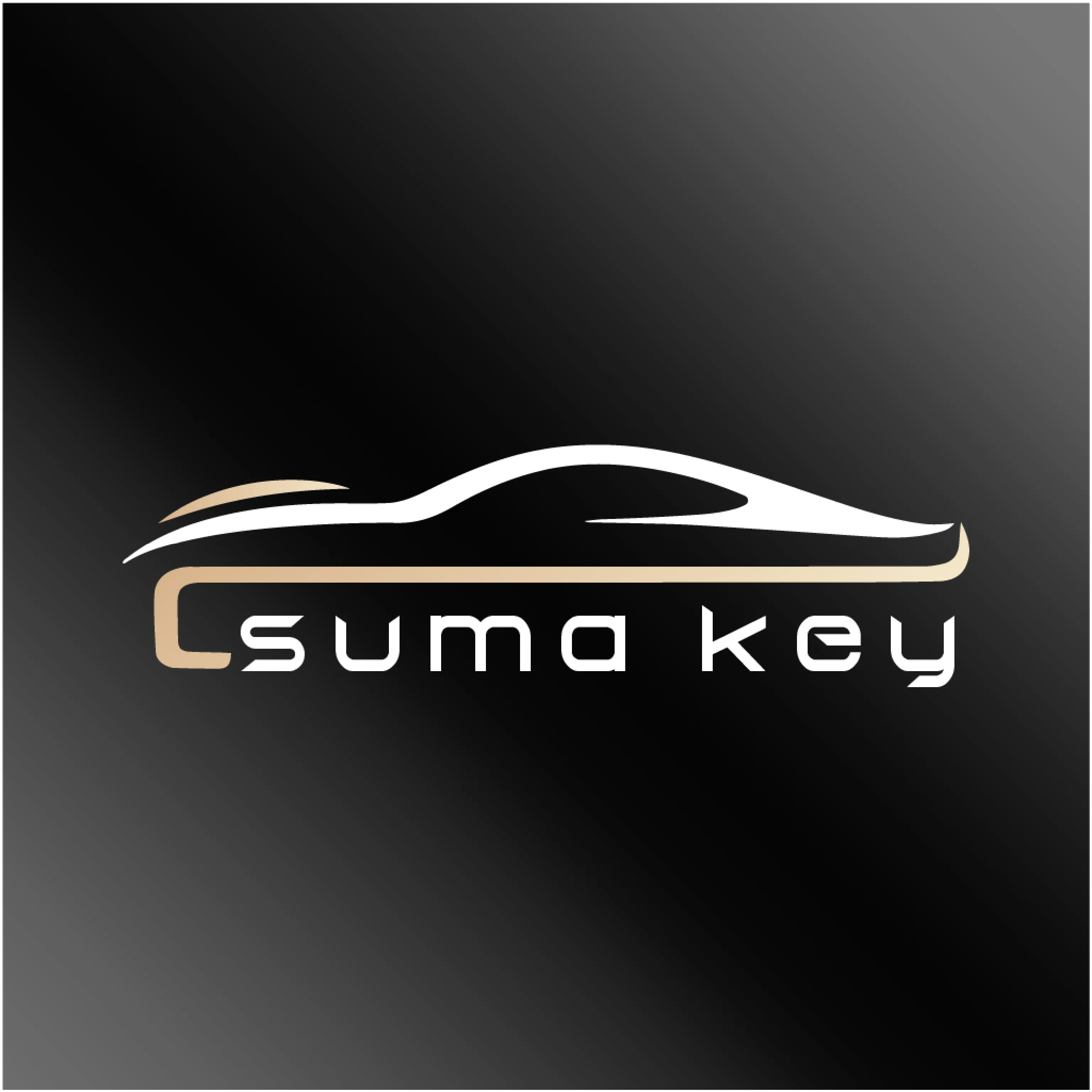 ������(�ֻ��س�����)v26.04.08.01 ��׿��