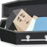 SBTI测试(人格测试游戏)v1.1.1 免费版