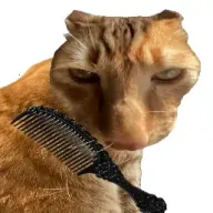 ��è��ë(è��ë������Ϸ)v1.0 ��Ѱ�