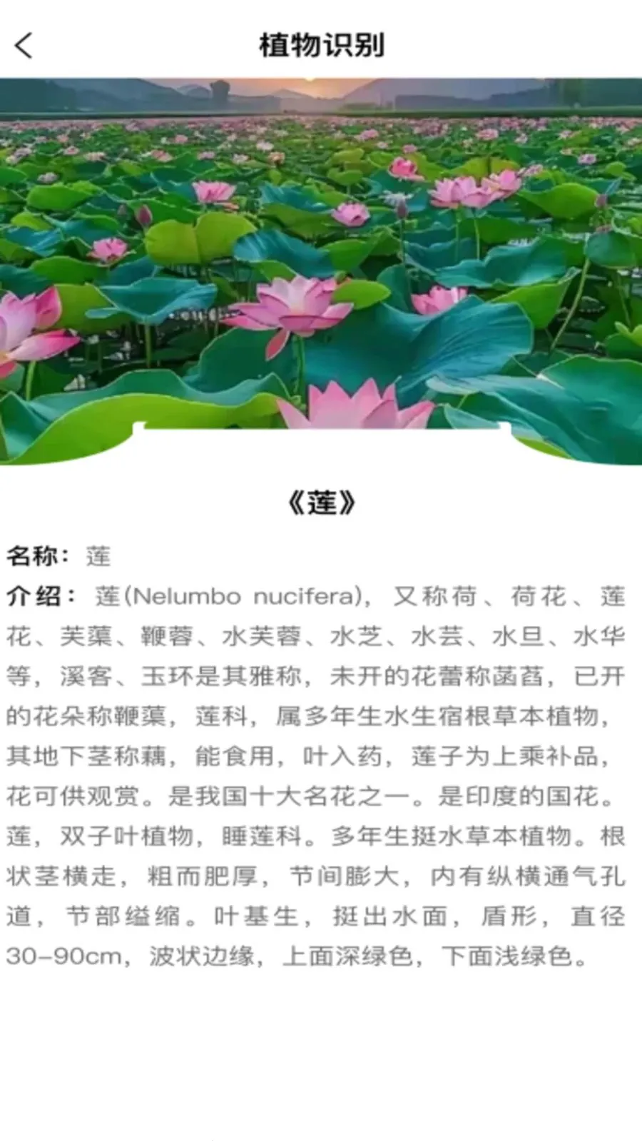 全能电子扫描王(多功能办公助手)v1.0.0 手机版