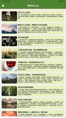 羊群的科学管理2026官方最新版本v1.2 官方正版