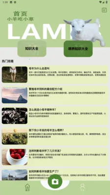 羊群的科学管理2026官方最新版本v1.2 官方正版