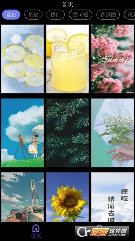 自制壁纸最新手机版v1.1 安卓版