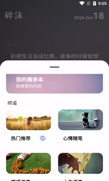 碎沫2026最新版本v2.0.2 官方正版