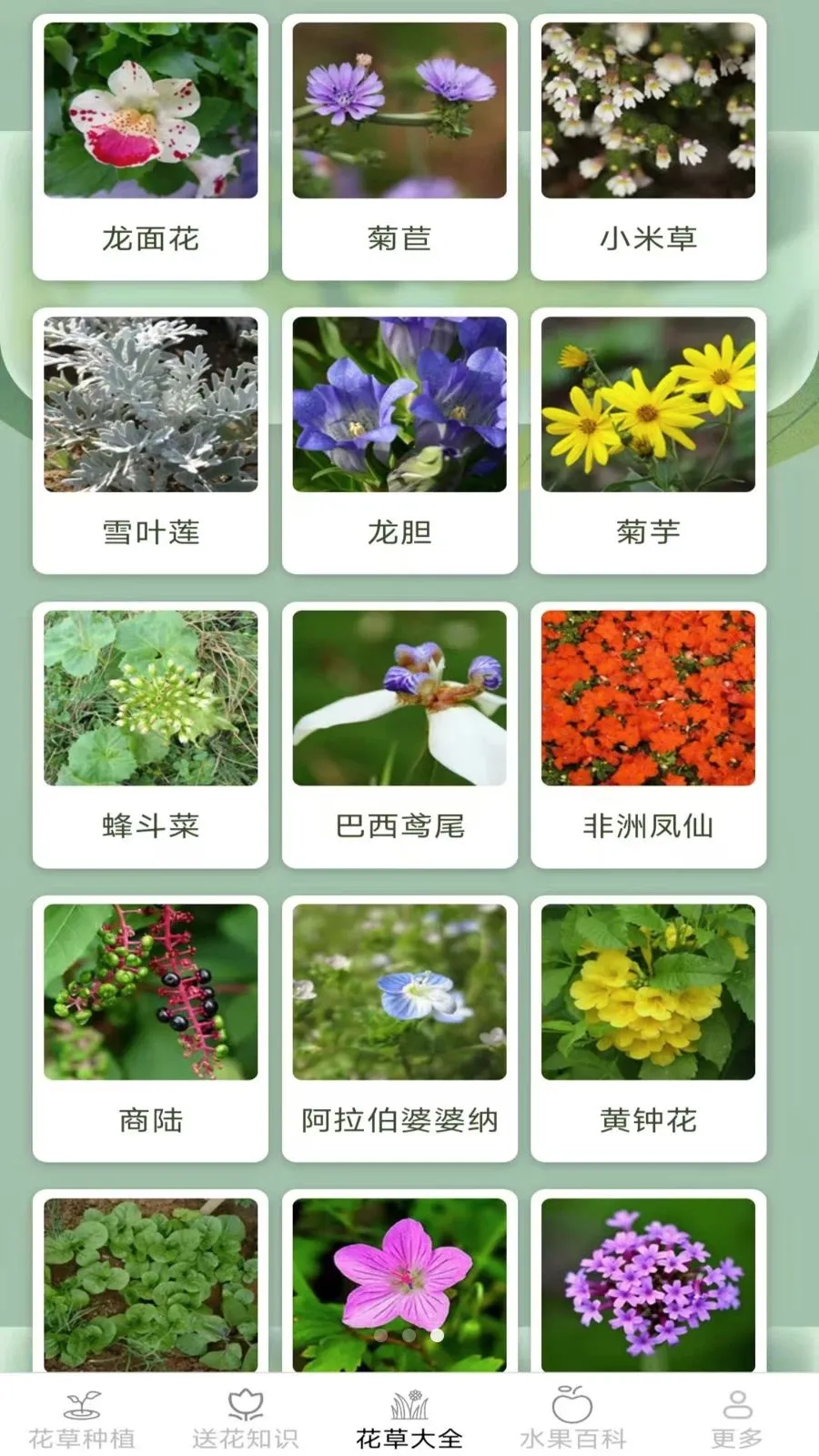 缤纷花草安卓版手机版v2.7.2.3 安卓版