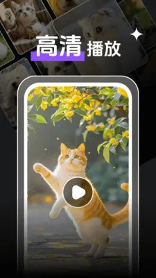 即刻观影播放器player(本地观影播放器)v1.1.3 官方正版