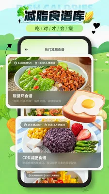 菜品热量识别(减脂热量计算)v1.0.1 安卓版